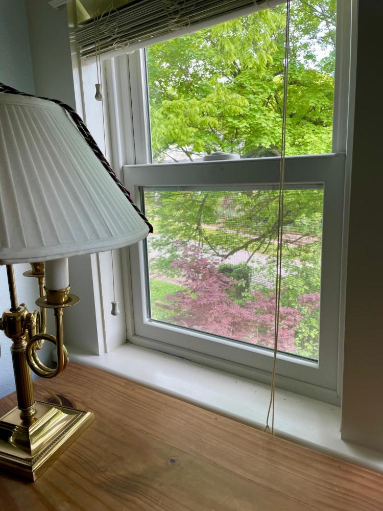 Deluxe Queen Suite interior